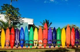 Row of colorful surfboards standing upright on the ground outdoors.