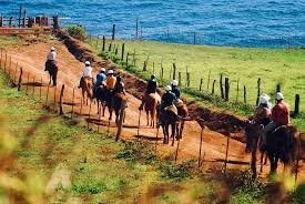 People riding horses along a dirt path near the water's edge.