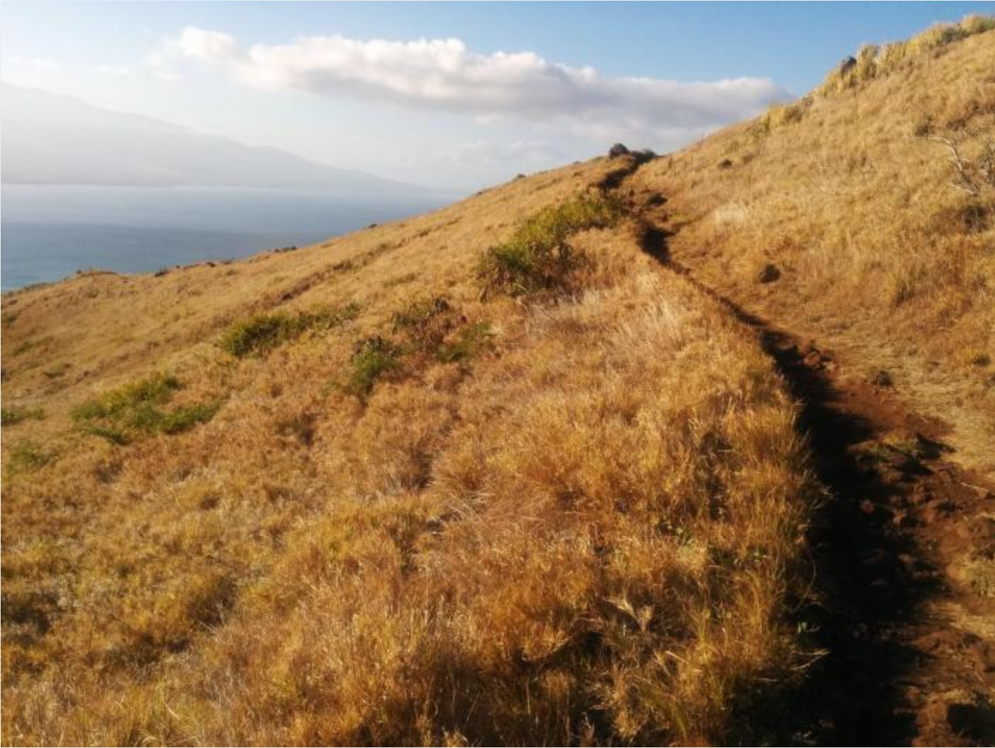 A dirt trail running along the crest of a grassy hill with a view of the ocean and distant mountains in the background.