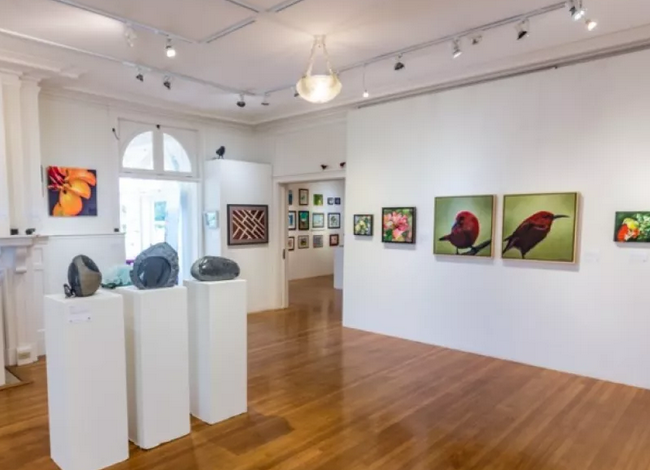View of an art gallery with white walls, hardwood floors, and multiple colorful paintings, including floral and bird images, displayed on the walls. There are three sculptures on white pedestals near a window, and the gallery is well-lit with ceiling lights.