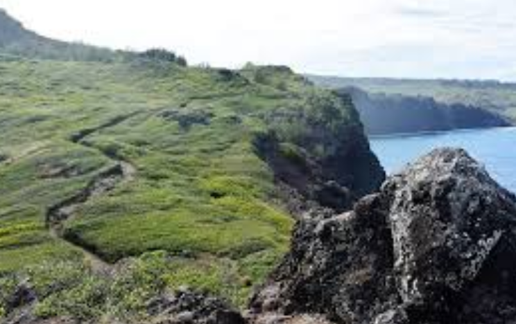 Green hillside with terraced fields near a rocky coastline and water body, under a cloudy sky.