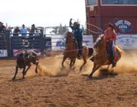 Rodeo arena with cowboys on horseback chasing a calf with a rope, dust flying on dirt ground.