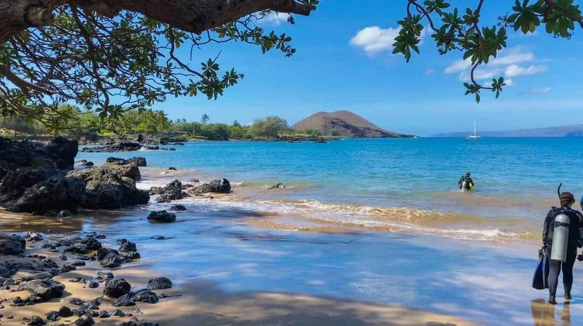 A tropical beach scene with rocky shoreline, clear blue water, and a distant mountain. Two divers with scuba gear are in the water, and a sailboat is visible in the distance. Trees with green leaves frame the top of the image.