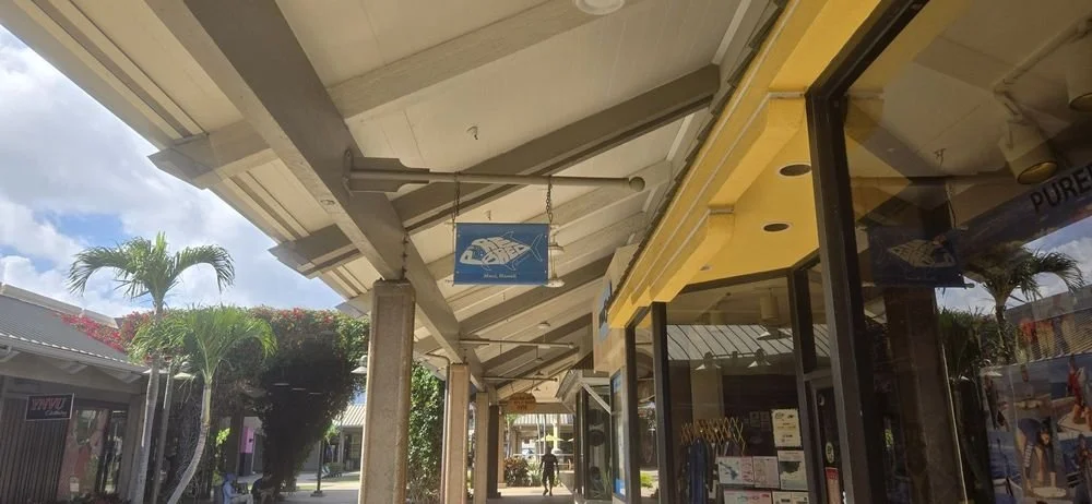 Outdoor shopping area with storefronts, palm trees, and a cloudy sky.