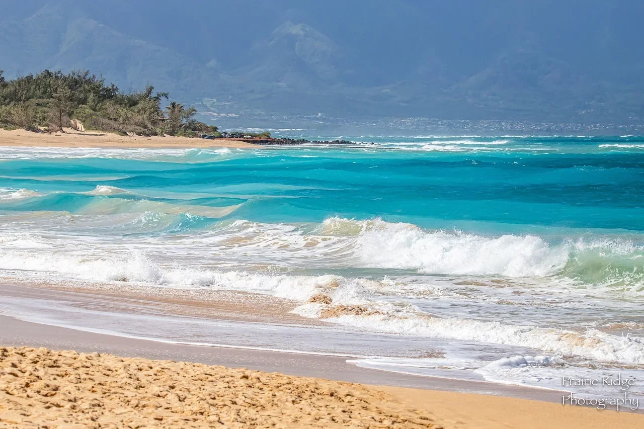 A beach with golden sand and turquoise waves crashing onto the shore, with green trees and mountains in the background.