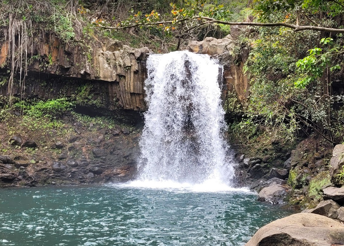 Small waterfall flowing into a clear pool surrounded by rocks and green tropical foliage.