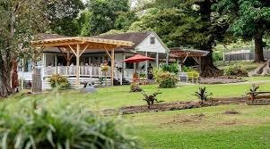 A backyard scene with a wooden deck, patio furniture, and a red umbrella, surrounded by grass and trees.