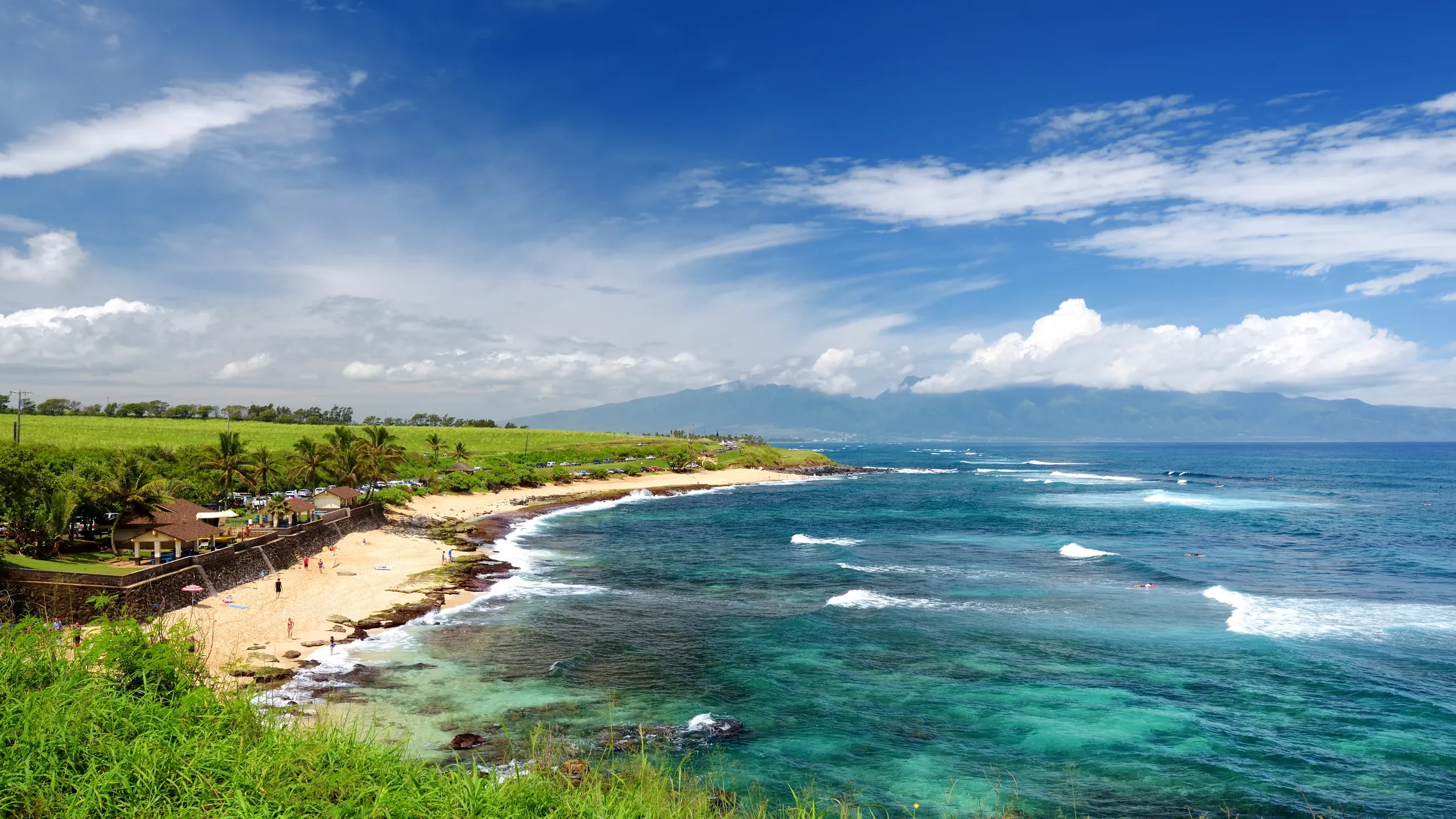 A scenic view of a tropical beach with green grass, palm trees, sandy shoreline, and clear blue ocean waves under a partly cloudy sky, with mountains in the distance.