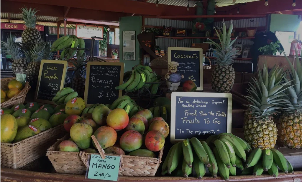 Display of fresh tropical fruits including pineapples, mangoes, bananas, pineapples, pineapples, and apples, with handwritten price signs at a local farm stand.