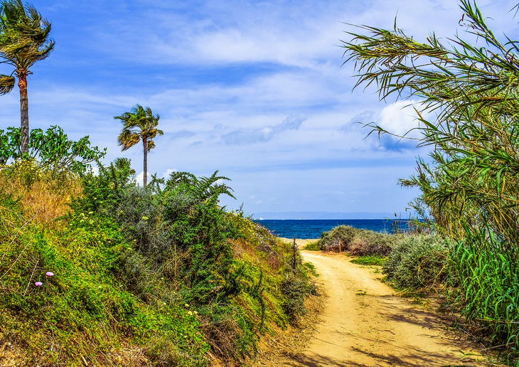 A sandy trail through green coastal vegetation leading to the ocean with a blue sky and a few clouds.