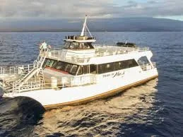 Passenger ferry boat on calm water with cloudy sky in the background.