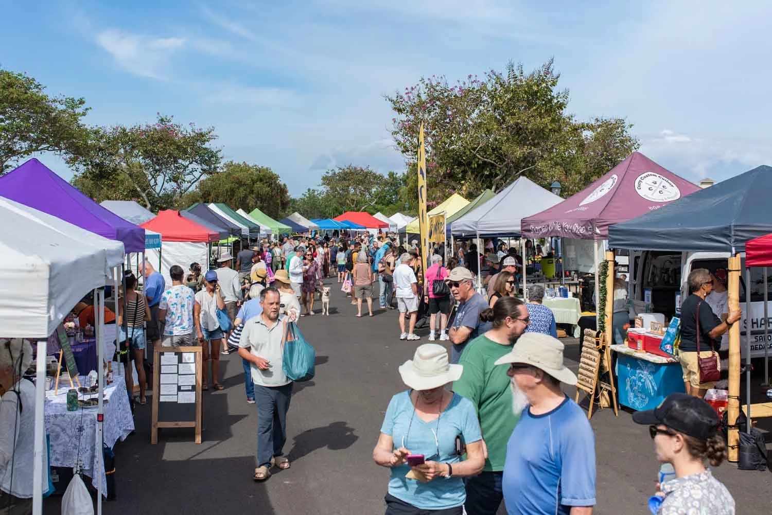 Crowd shopping at outdoor market with colorful tents under a cloudy sky.