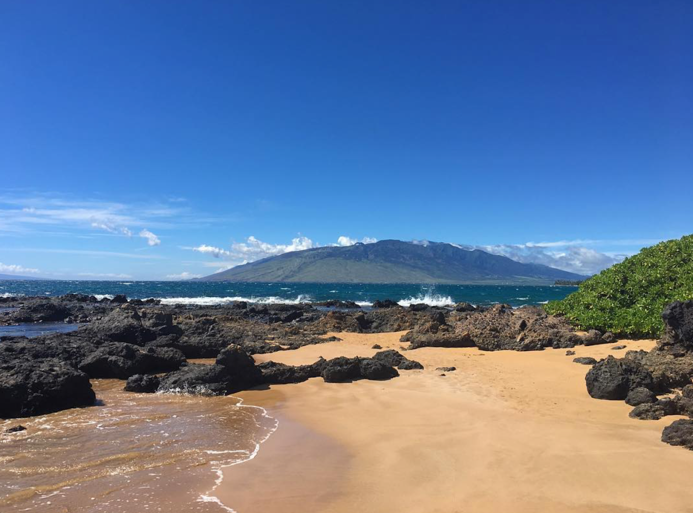 A coastal scene with sandy beach, black volcanic rocks, a blue ocean with small waves, a green shrub on the right, and a mountain in the distance under a clear blue sky.