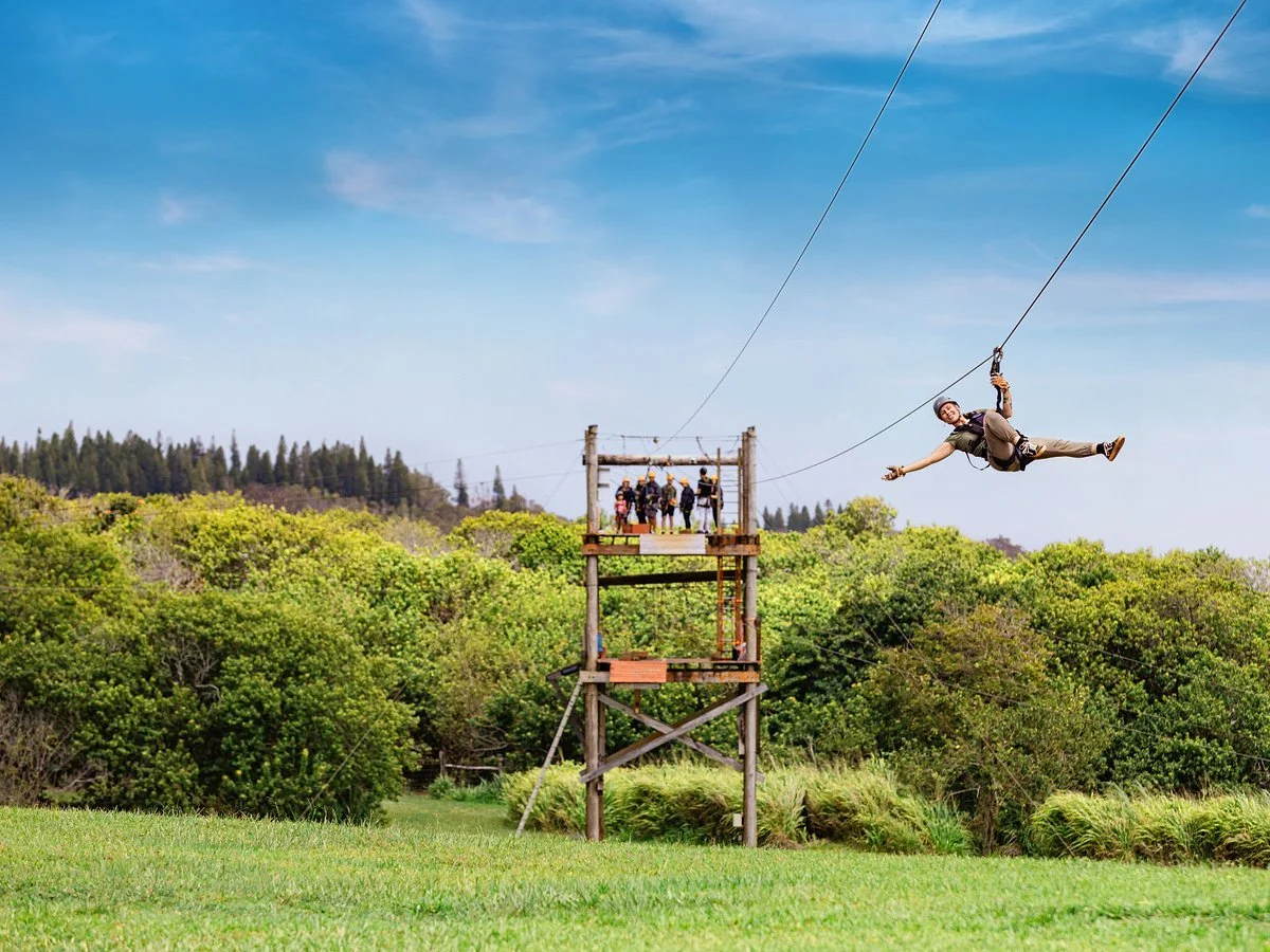 Person on a zipline flying through a green, forested area with a group of people waiting at the platform in the background.