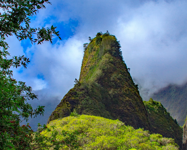 A tall, lush green mountain surrounded by clouds and blue sky with tree branches in the foreground.