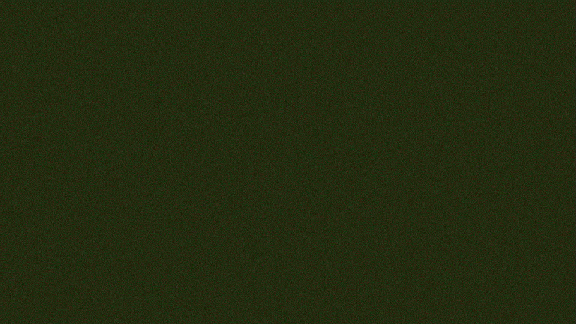 Um fundo verde-militar genérico muito simples e não usado.