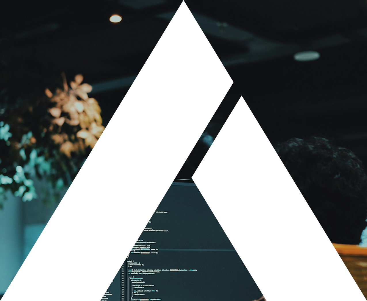 The image has heavy digital distortion, with left side showing blurry flowers and right side displaying a person with dark, curly hair along with coding or text on a screen in the background.