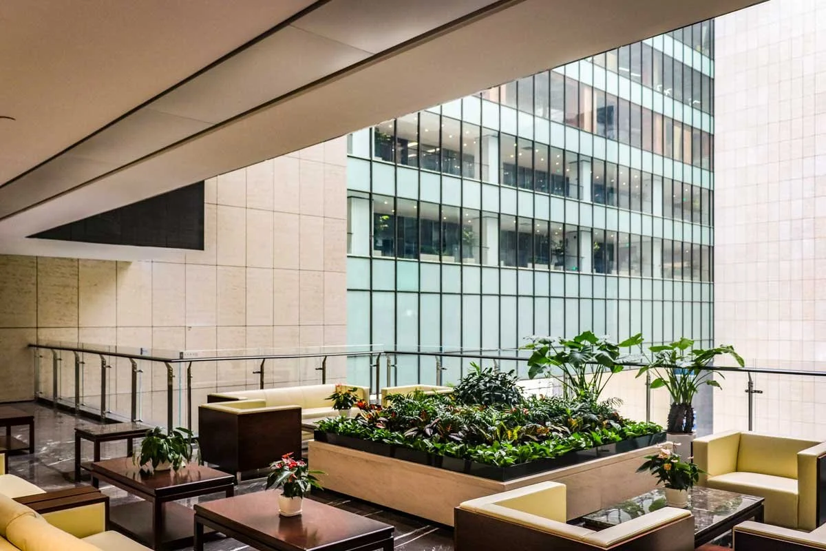 Optical Valley Star of Wuhan