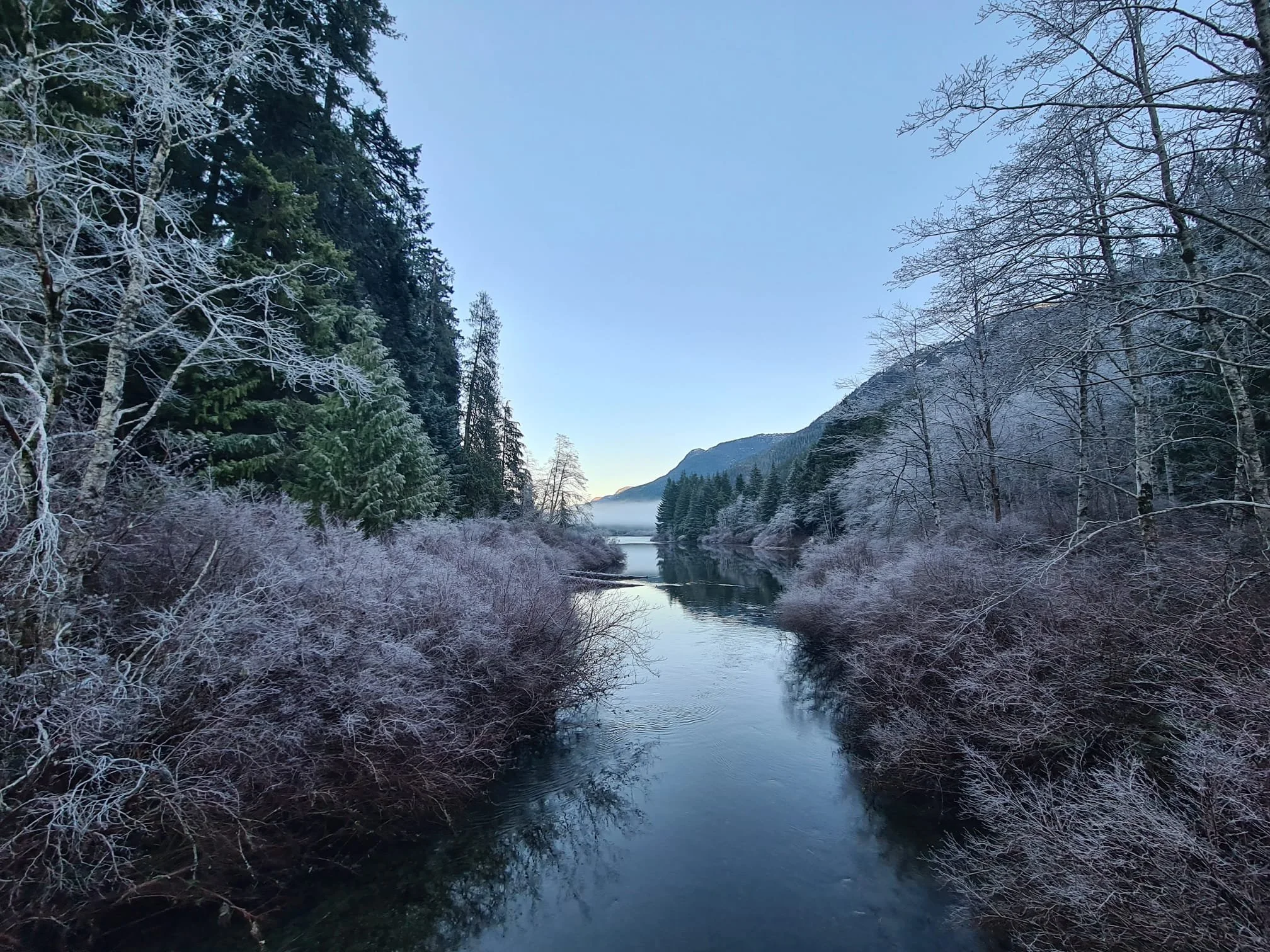View over the bottom of crest mountain, 10 km outside of Gold River.
