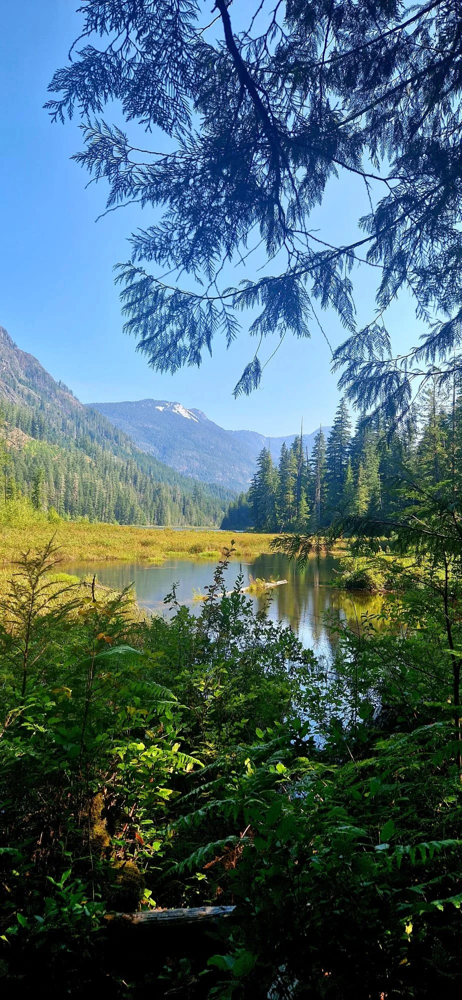 Antler Lake_Laughing Bench View.jpeg