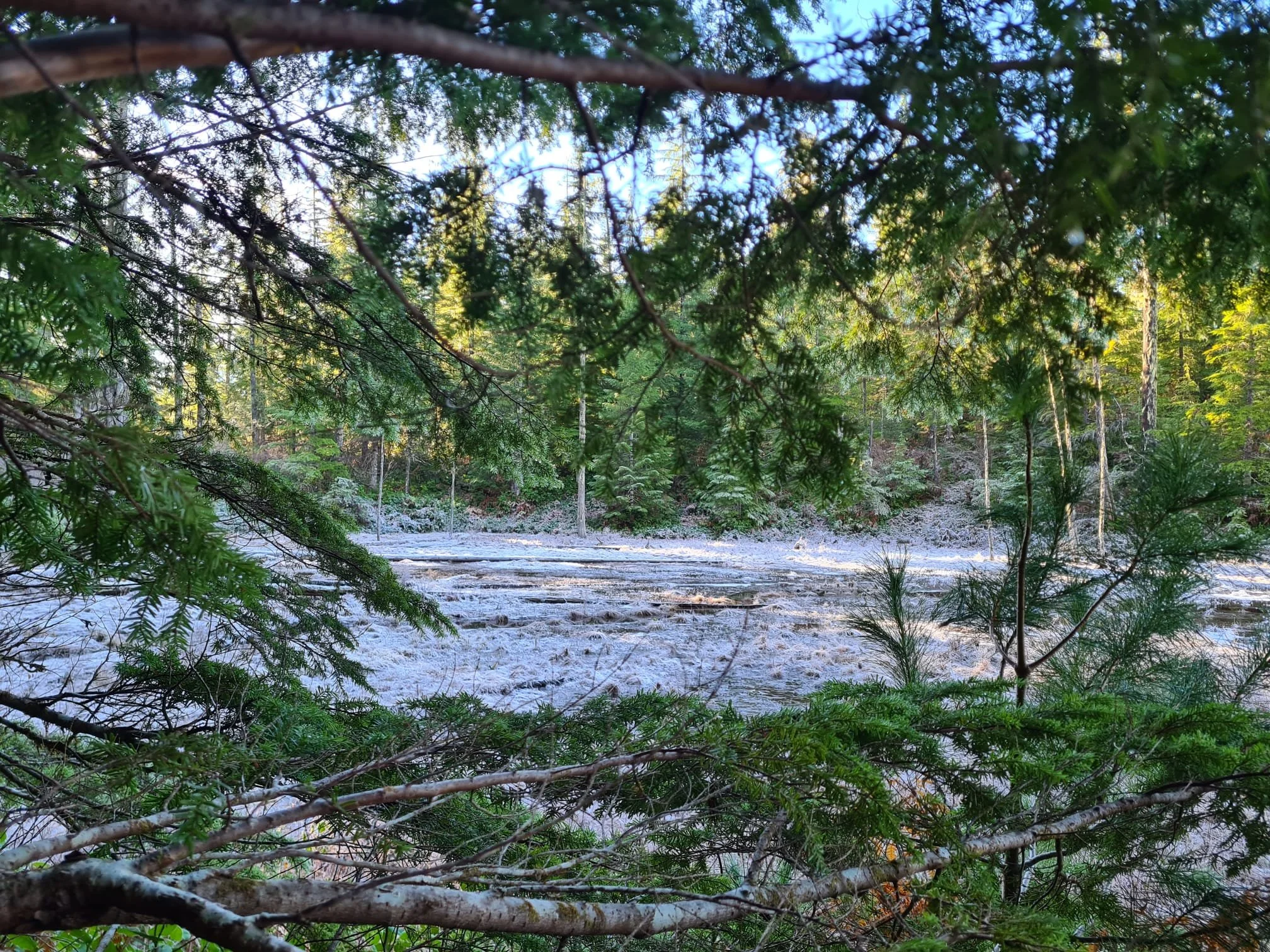 Barren and frozen scout lake.