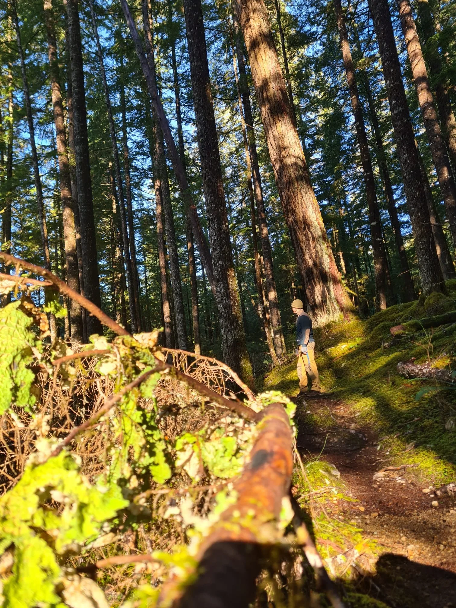 The guided tour along scout lake trial.