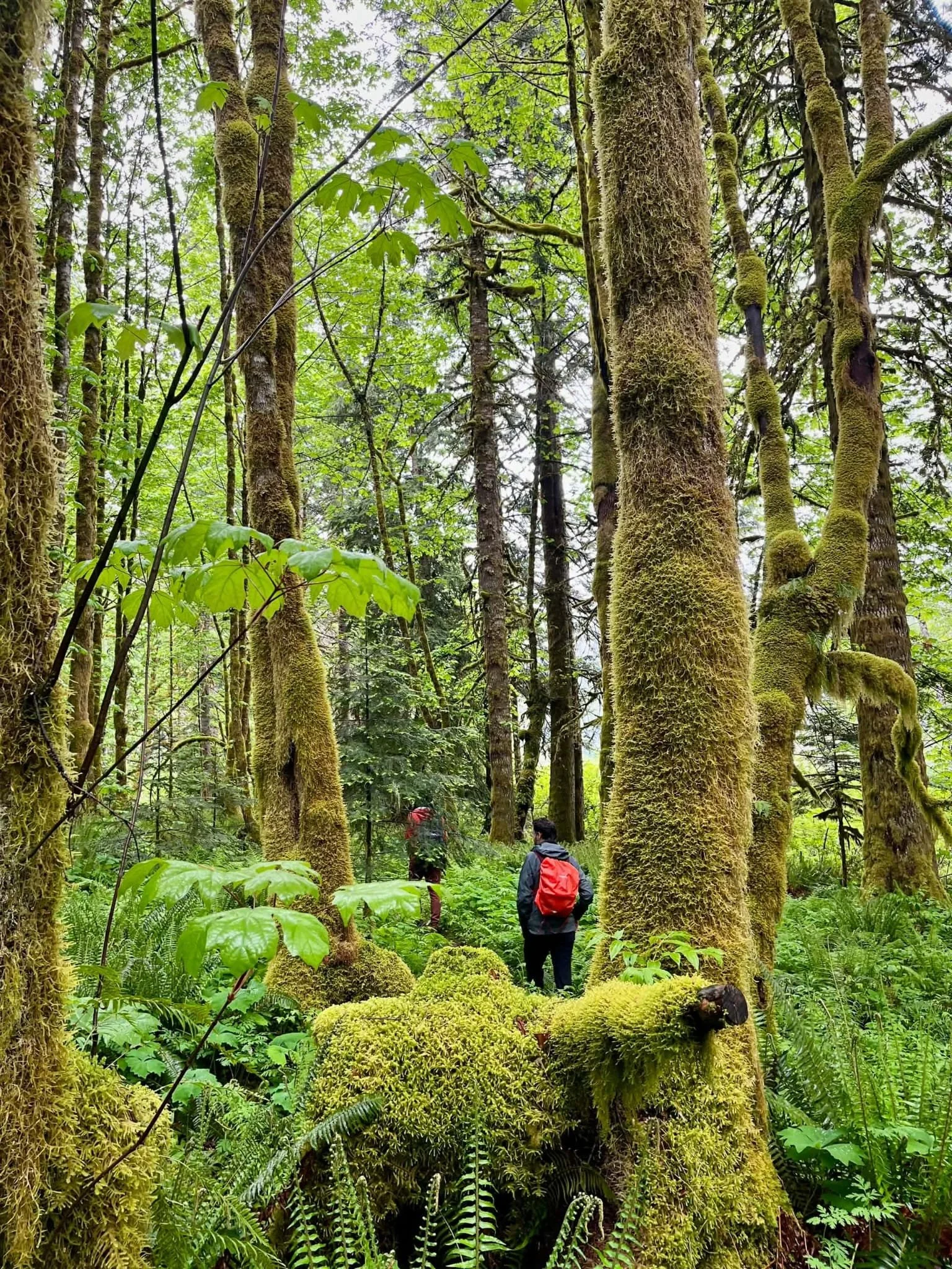 Guided tour around Antler Lake.