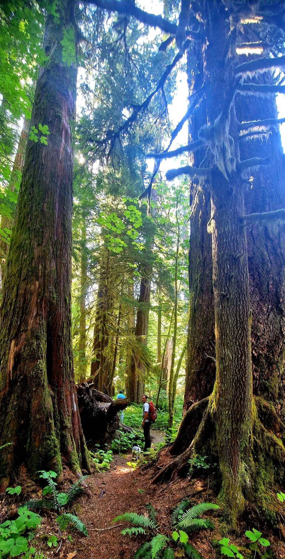 Me Guiding in Antler Lake.jpeg