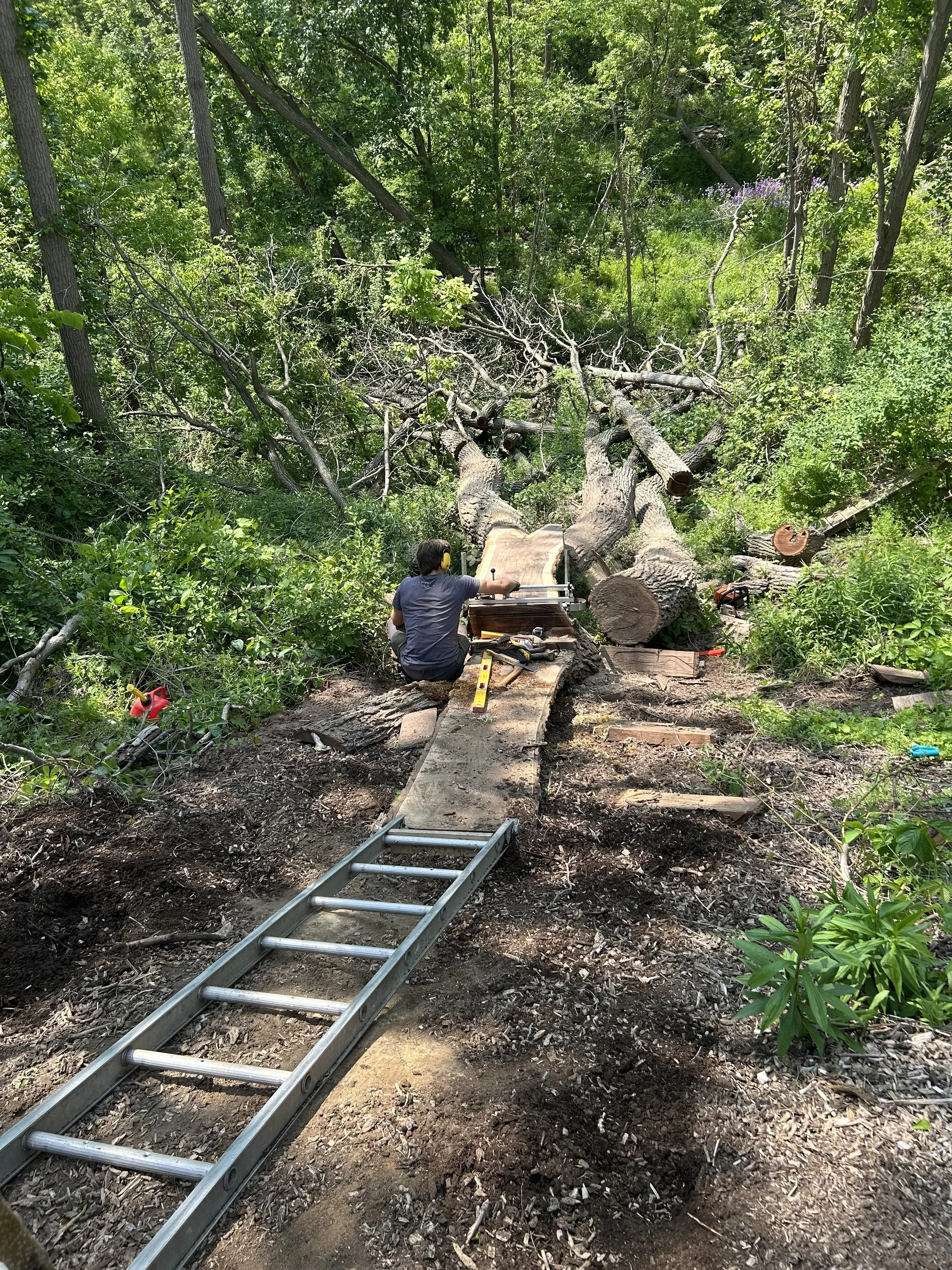 A person working on cutting and removing a fallen tree in a forested area, with a ladder and tools nearby.