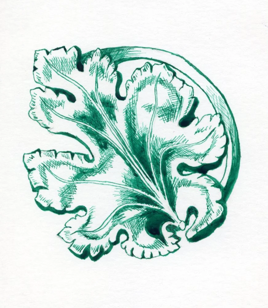 Wood Leaf
5" x 4"
Pen and Ink