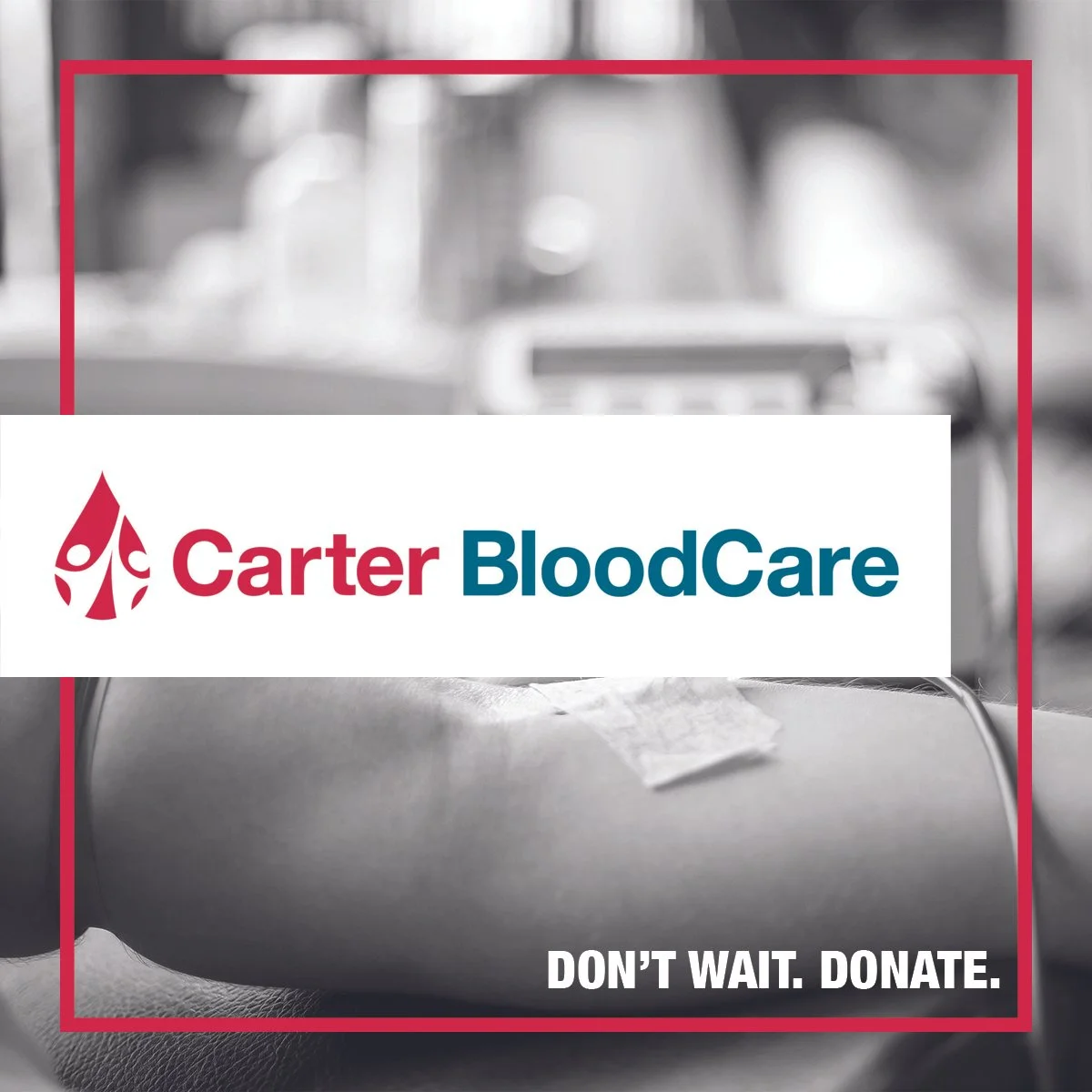 Carter BloodCare Campaign Book