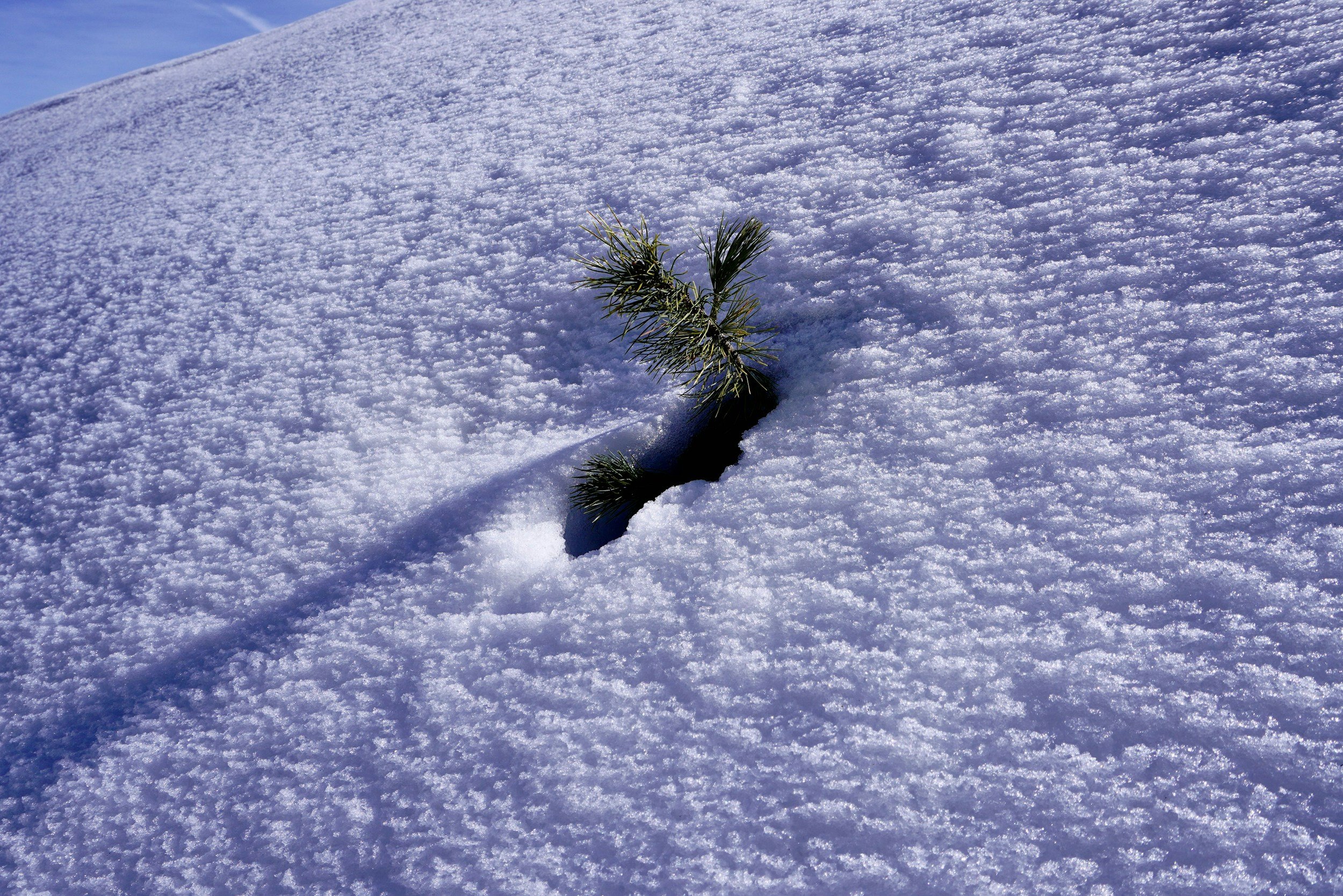 The strongest growth occurs in the harshest conditions