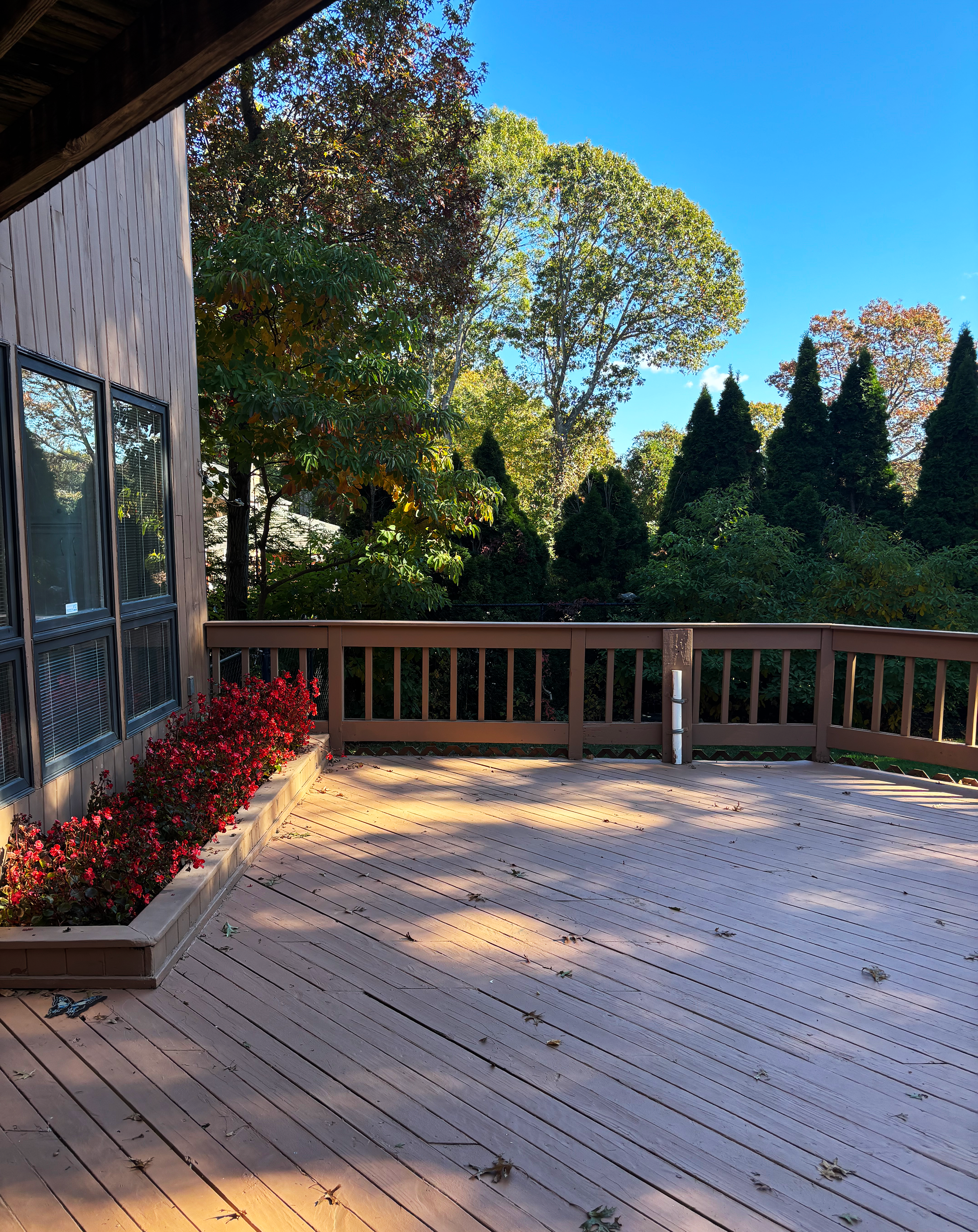 Where I’ve lived, where I’ve created