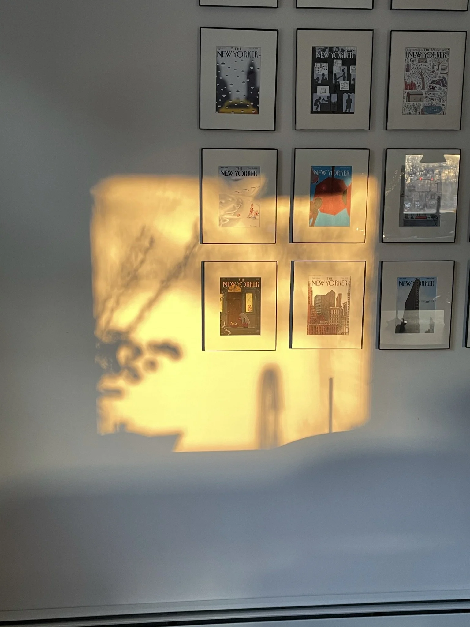 A wall with framed magazine covers, likely The New Yorker, and sunlight casting a shadow of a plant and window onto the wall.