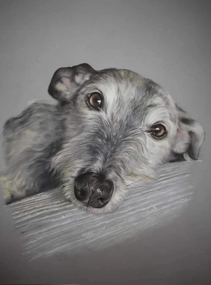 Photorealistic painting of a dog with gray and white fur, lying down with its head resting on a surface, looking with a calm and gentle expression.