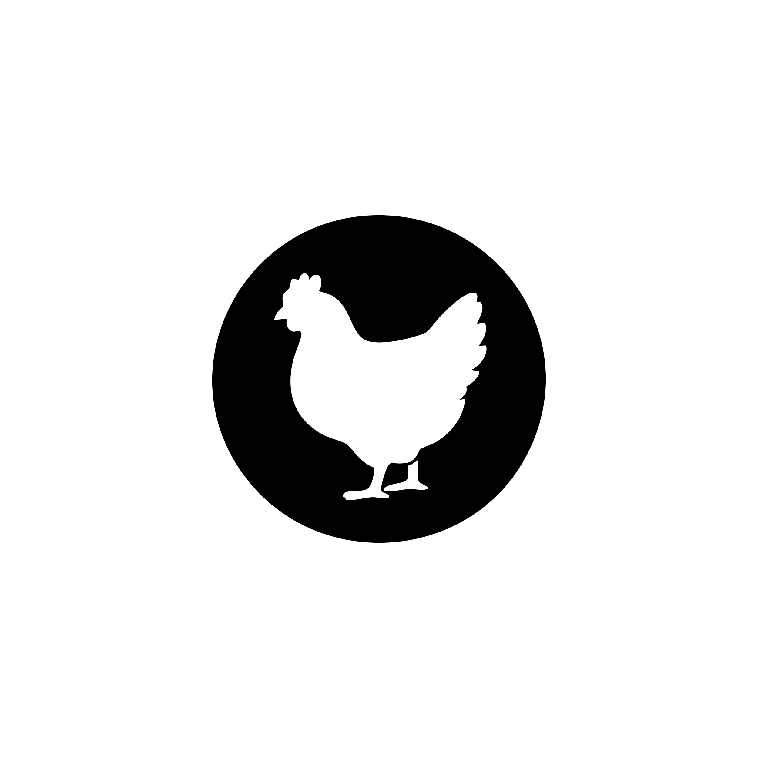 Non-Caffeinated Chicken Broth