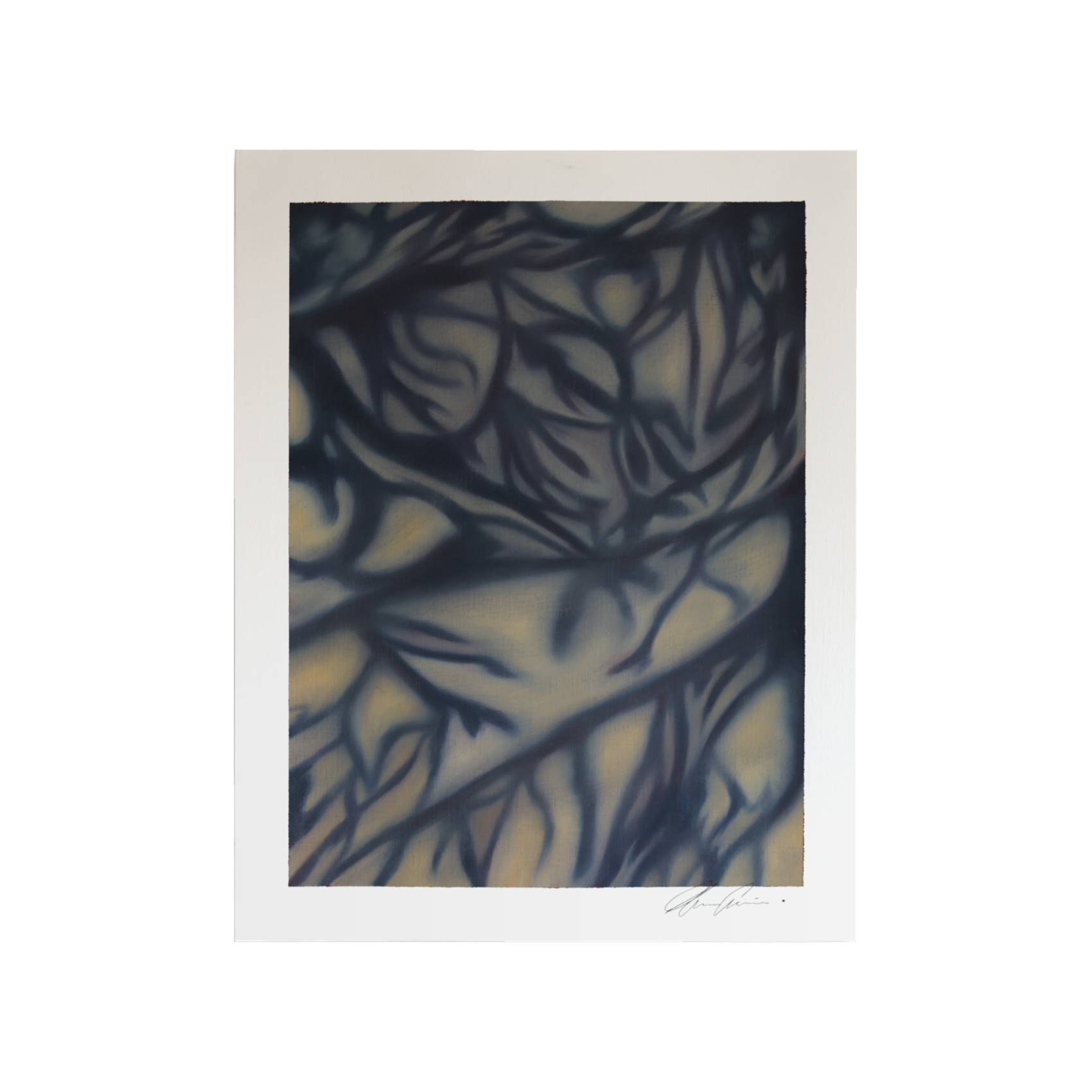 IMG_0086.png