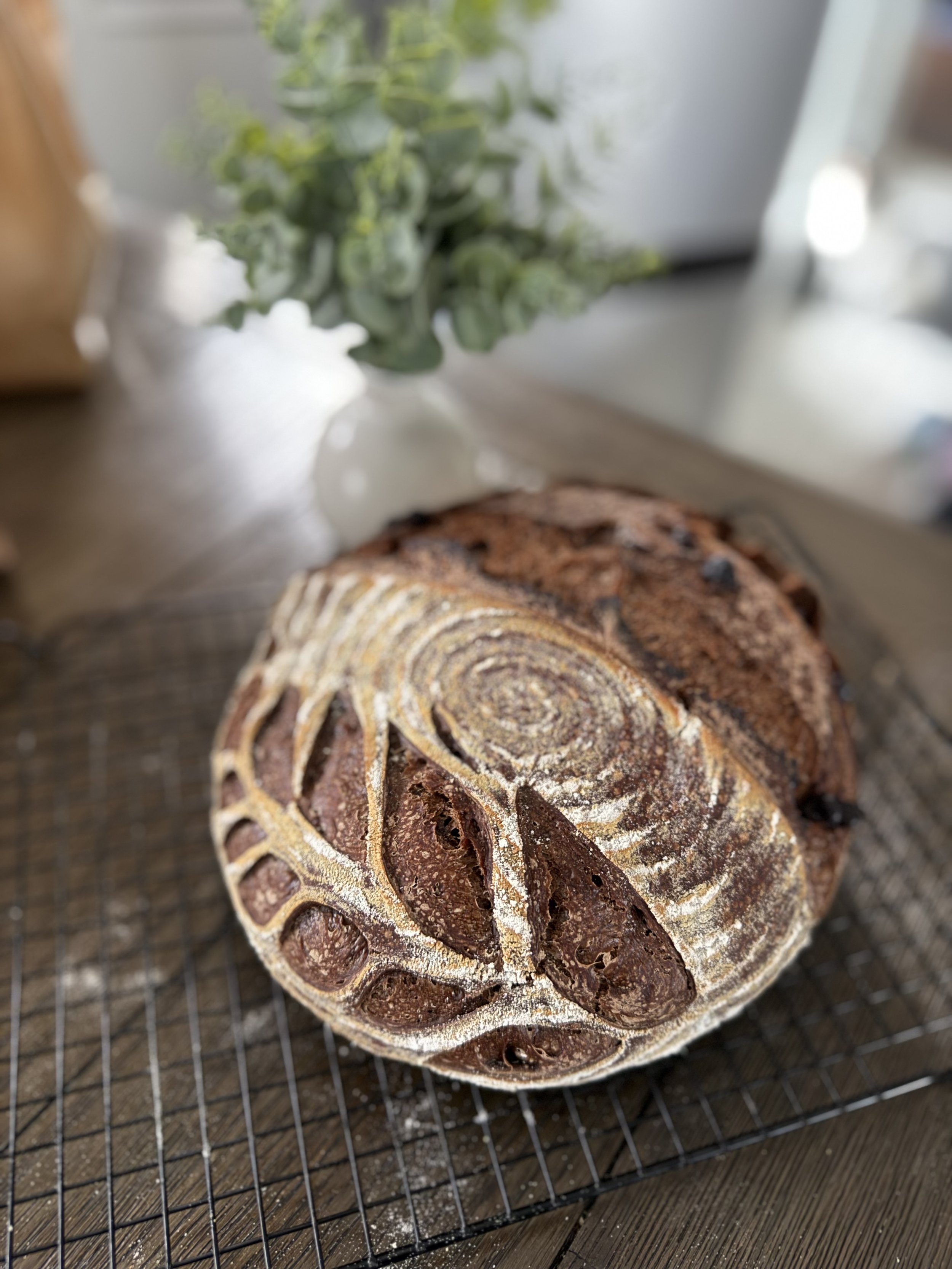 Mocha Sourdough