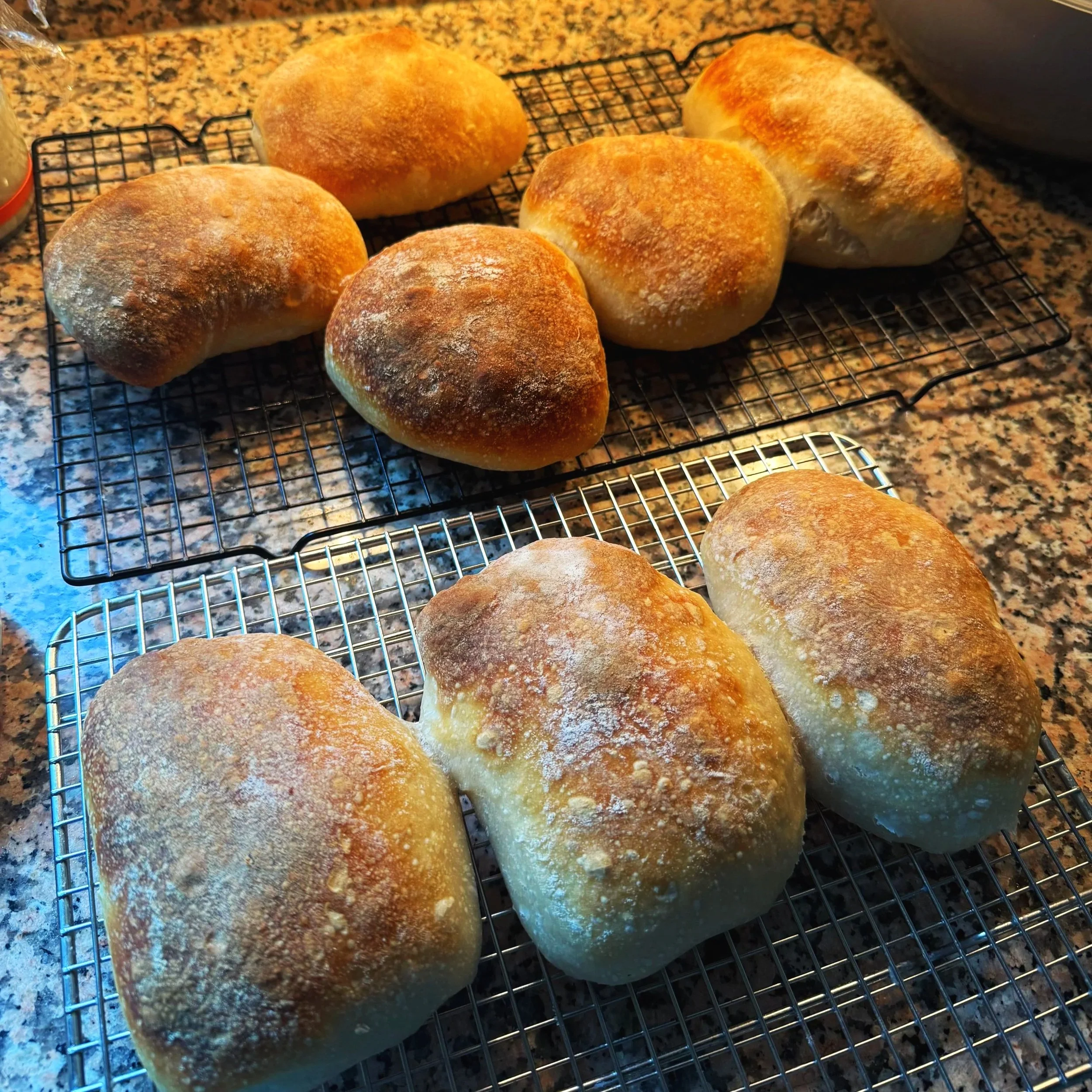 Sourdough Cibatta Buns (6)