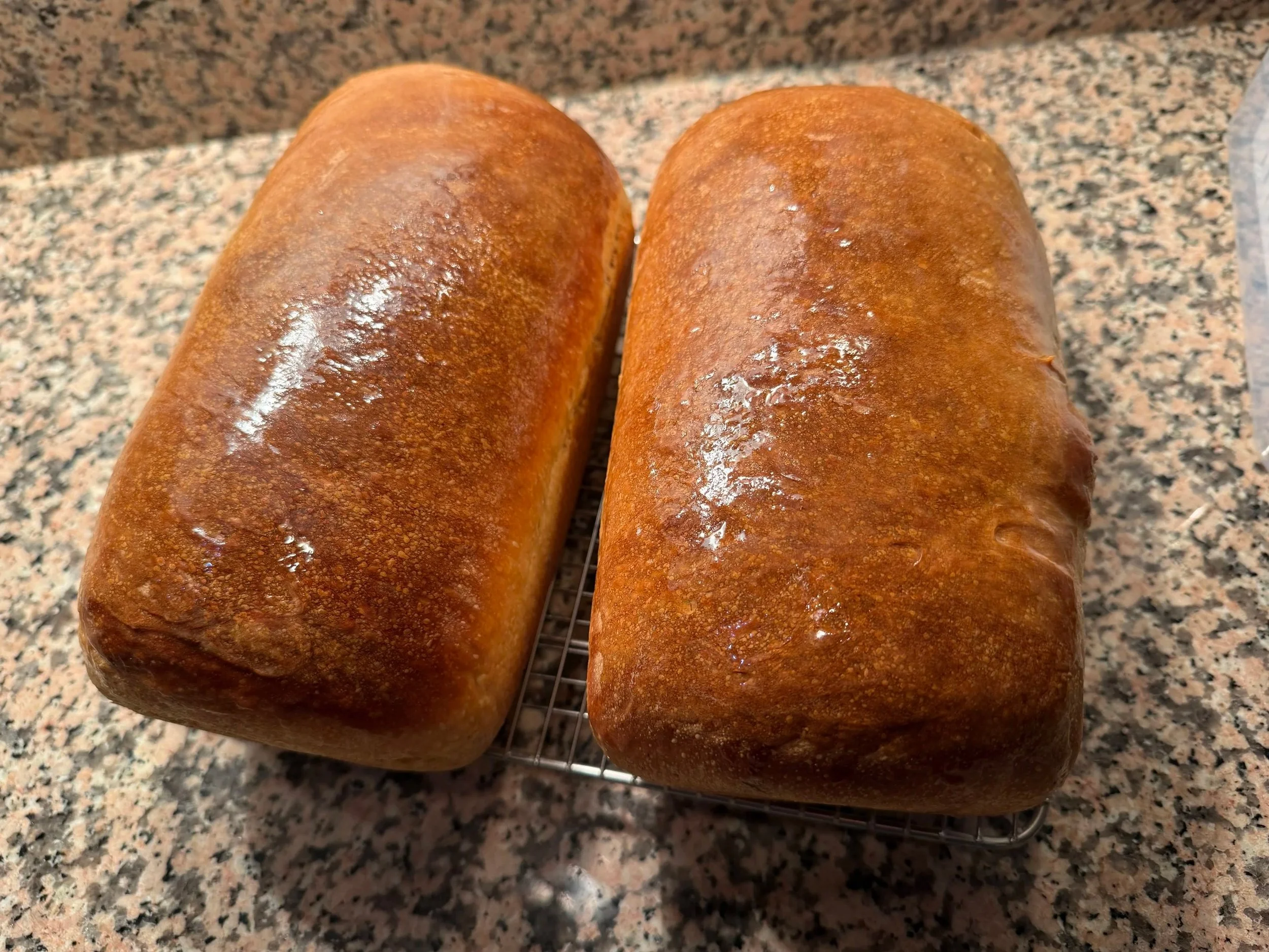 Sourdough Sandwich Loaf