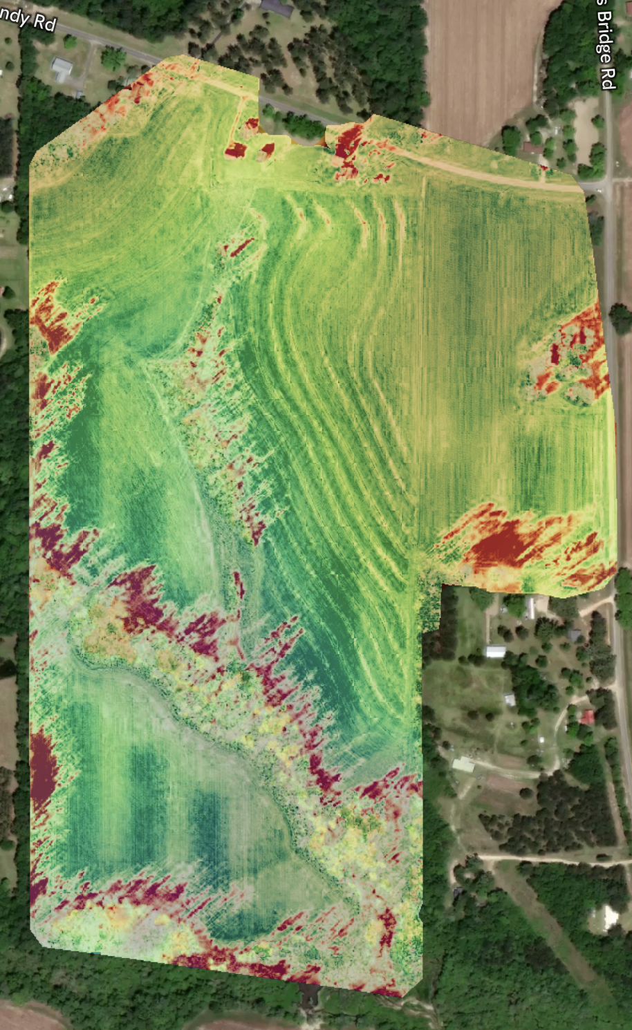 Vegetation index imagery illustrating variability in crop health and plant vigor.