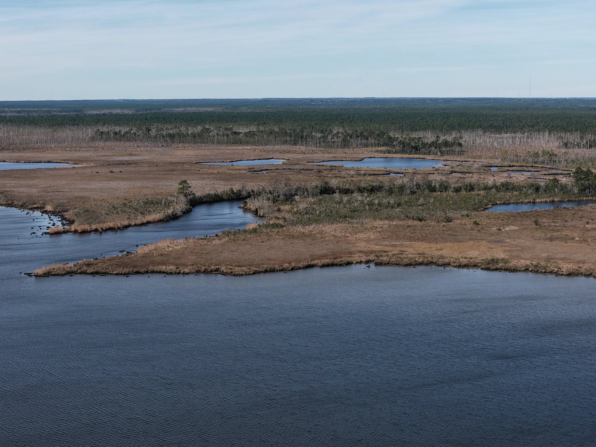 A landscape view of a wetlands area with several small lakes and ponds, surrounded by marshy land and sparse trees, with a forested area in the distance under a partly cloudy sky.