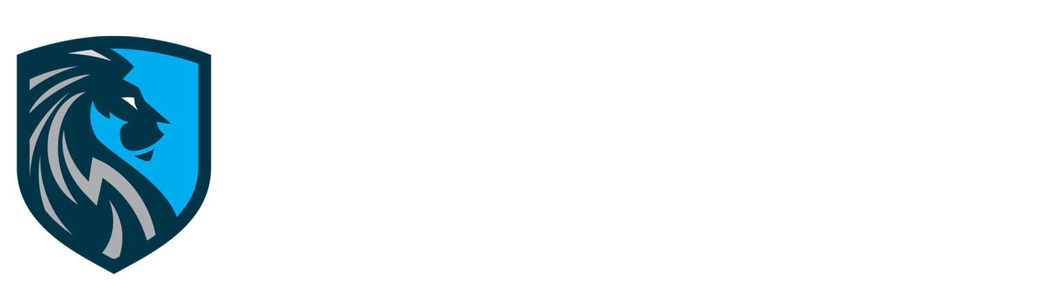 The Intelligence &amp; Security Academy