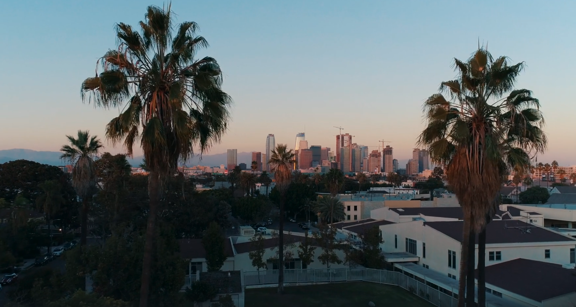 City skyline with tall buildings in the distance and palm trees in foreground during sunset or sunrise.