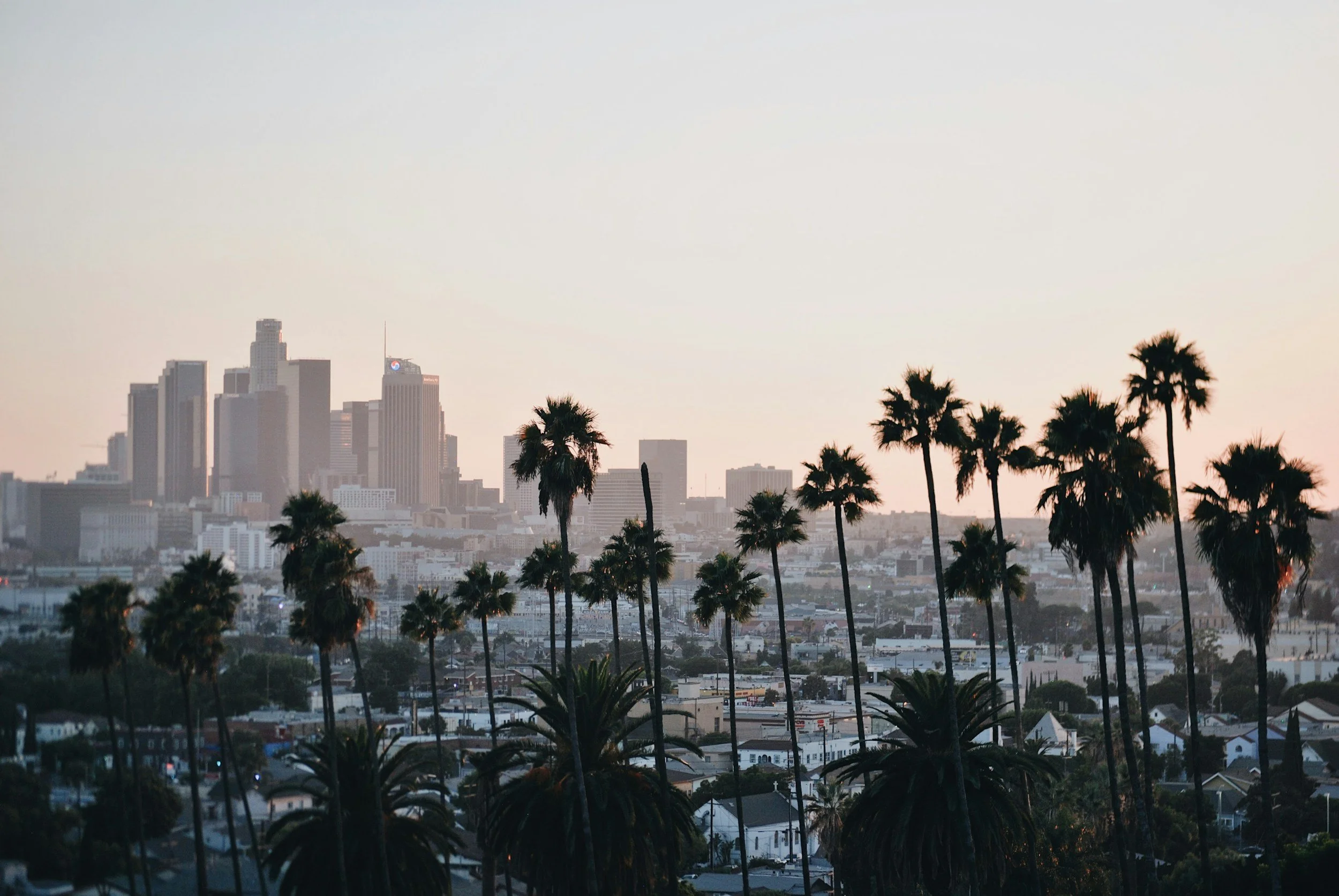 Sunset over Los Angeles skyline with palm trees in the foreground.