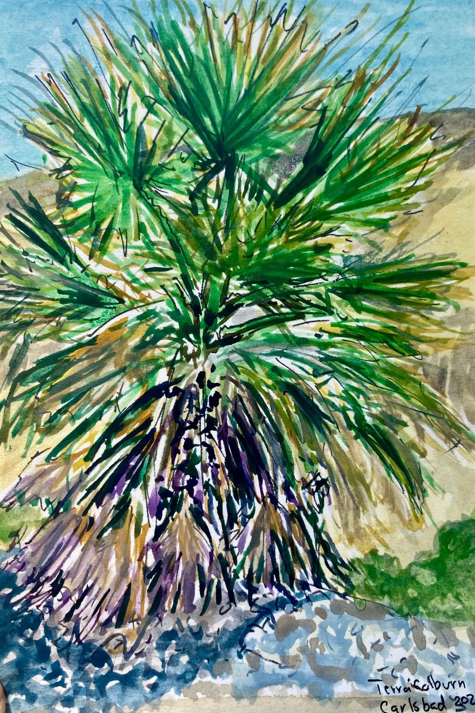 Palm Tree-S.jpg