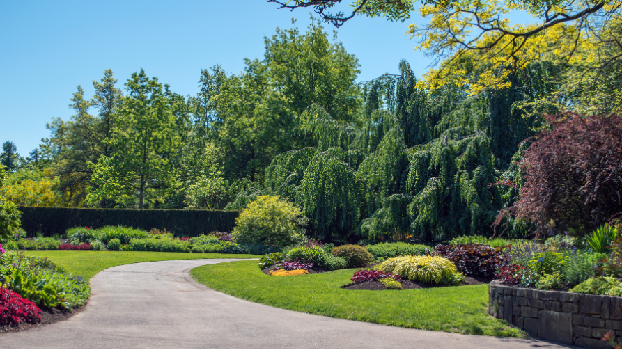 Professionally maintained landscape with a curved walkway, manicured lawns, mature trees, and seasonal plantings by Northmark Property Services.