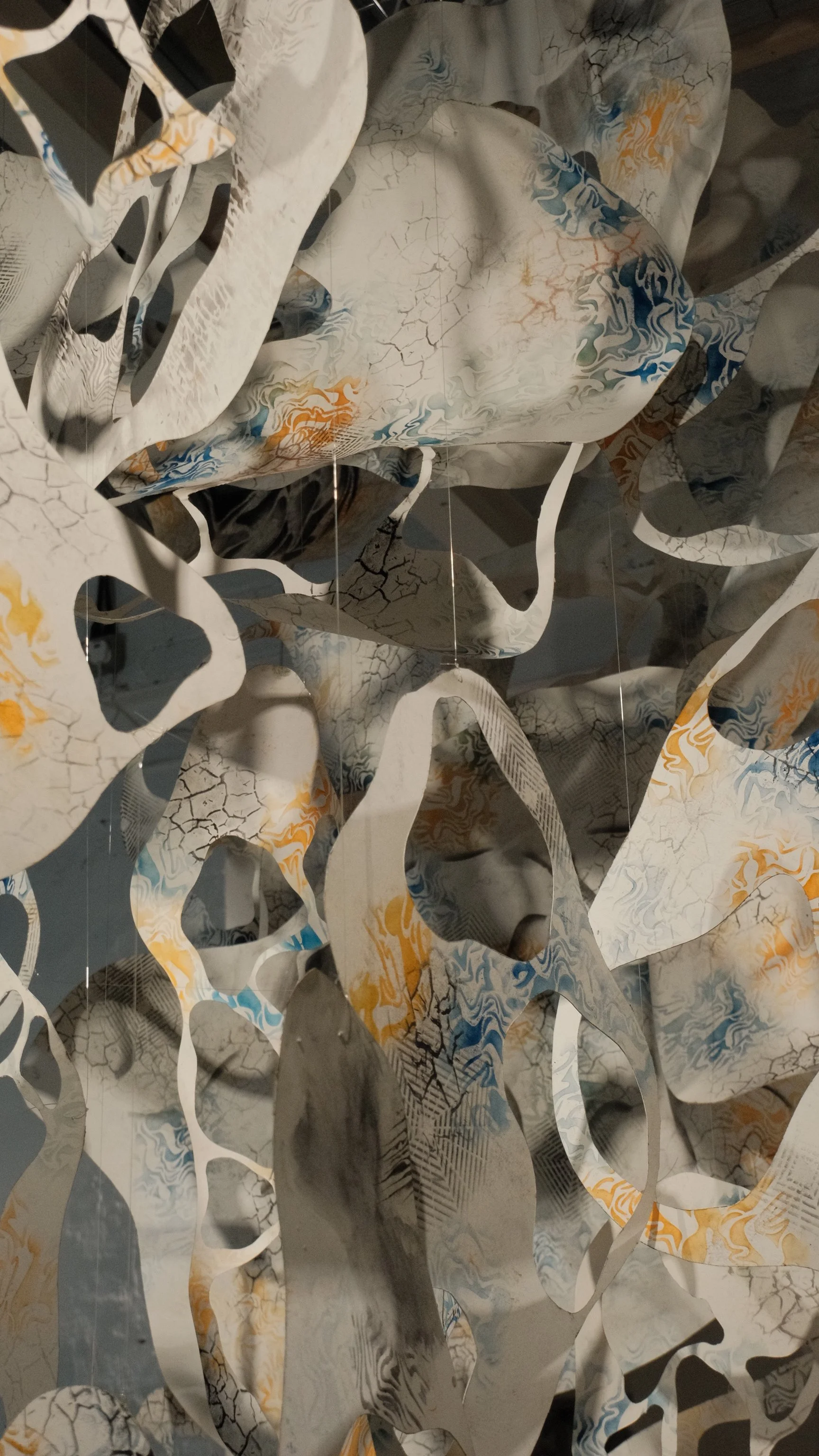 anya kalsi: emerging perspectives