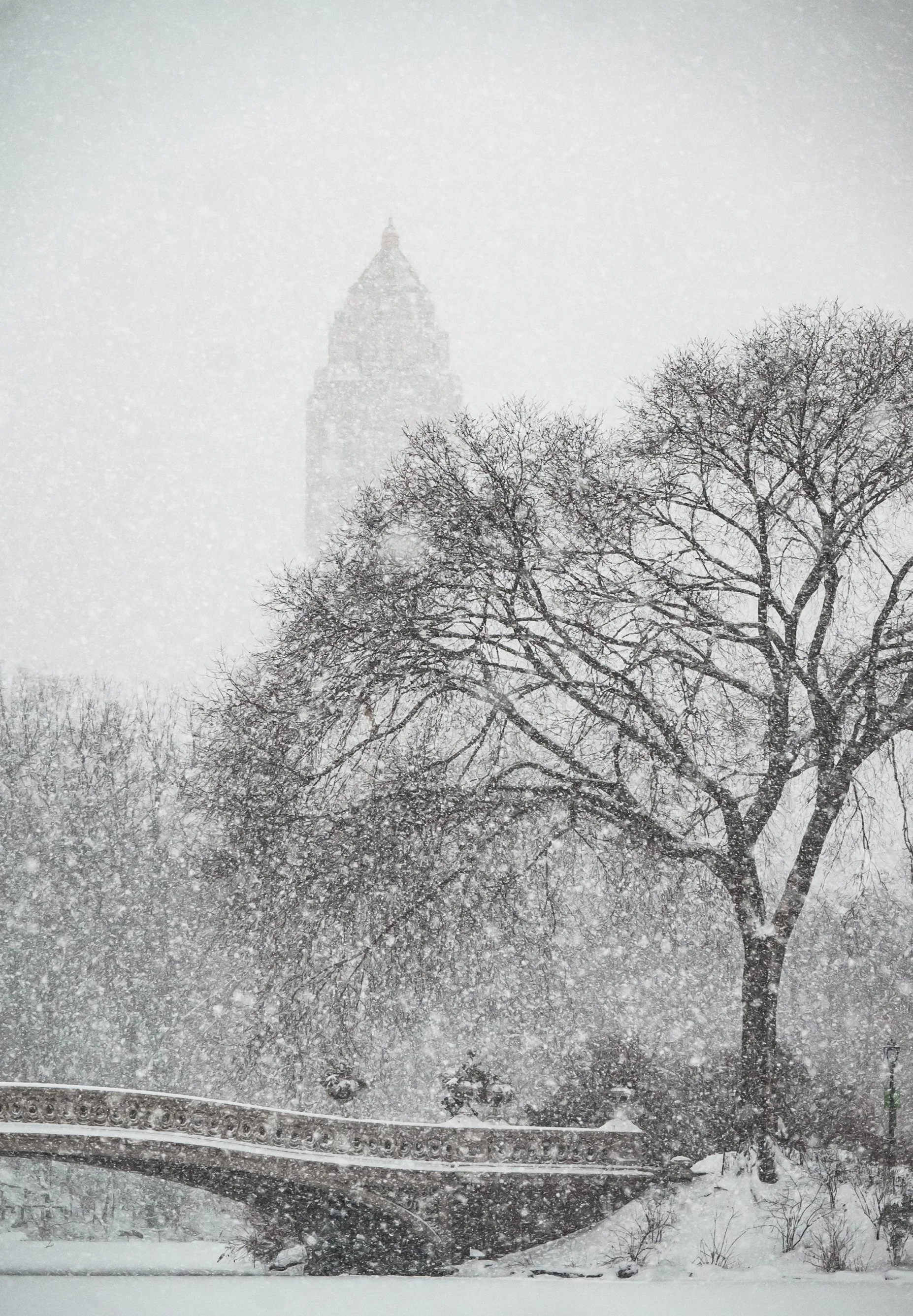 Central_Park_Snow.JPG