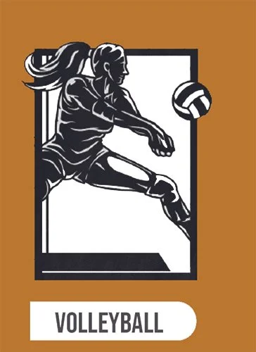 Volleyball.jpg